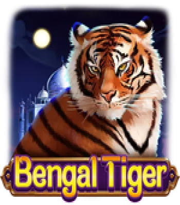 Bengal Tiger